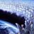 Linda Kostroski's profile image