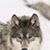 Ralph Brown's profile image