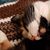 Mary Freeman Kitts's profile image