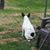 Tracy Ballard's profile image