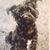 Kathy Styer's profile image