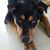 Michele Marie Barnes Yox's profile image