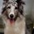 Marcia Wingfield's profile image