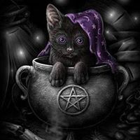 catlinnstorm's profile image