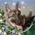 Tammy Erickson's profile image