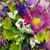 Sherry Worthington's profile image