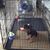 Karen Jones's profile image