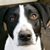 Judi Filby Murray's profile image