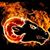 Jimmy Howard's profile image