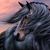 Jose Luis Arias Quezada's profile image