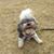 Alison Q Hughes's profile image