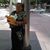 Celia Orellana's profile image