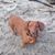 Vicki Croes's profile image