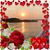 Cindy Fyfe's profile image
