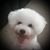 Georgia Ludden's profile image
