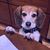 Marc J. Smith's profile image