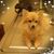 Sharon Winikoer's profile image