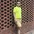 Sunny Mishra's profile image