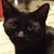 Deryn Harris's profile image