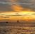 Monica Tholen's profile image