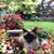Martha Olson's profile image