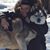 Patti Jordan's profile image