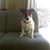 Lori Saulnier's profile image