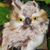 Christine Reiher's profile image