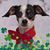 Heidi Snelson's profile image