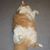 Kelly Rybak Hilliard's profile image