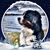 Sheri Namovicz's profile image