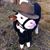 Karen Hammock Acevedo's profile image