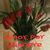 Janoycristina Gonzalez's profile image