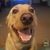 Herb Melody's profile image