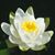 Cheryl Richter's profile image