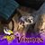 Matt Vanyo's profile image