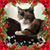 Jeanne McElroy's profile image