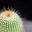 arturo n's profile image
