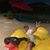 Ramon Quintanilla's profile image