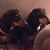 Beverly Lohman's profile image