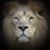 Ron Touchstone's profile image