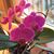 Carol Jernstadt's profile image
