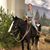 Chelsea Mcbroom's profile image