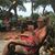Robin Scalfari's profile image
