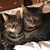 Wendy D. Boyd's profile image