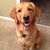 Jennifer Bryant Mehmen's profile image