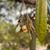 Pui Guru's profile image