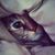 Cliff Gilley's profile image