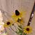 Kathy Estreito's profile image