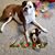 Debbie Doran-Flory's profile image